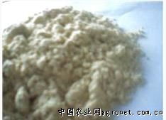 饲料产品信息中心 连接全球饲料产业，助力畜牧业发展