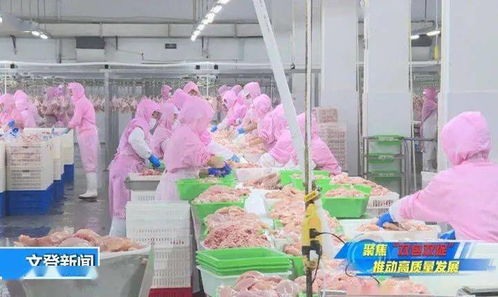 禾源食品加工项目与配套饲料链建设——政府“一路绿灯”赋能产业跑出加速度