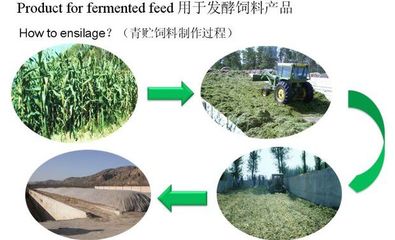 供应用玉米秸秆喂牛的秸秆发酵剂在哪里购买