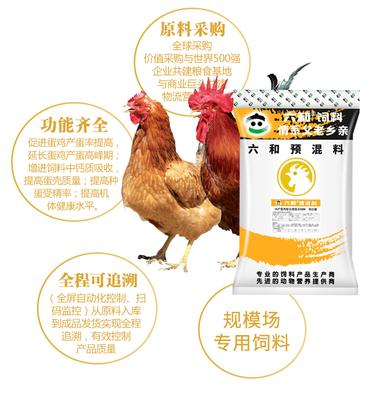 新希望六和5%蛋鸡高峰期饲料 助力高产稳产的精准营养方案